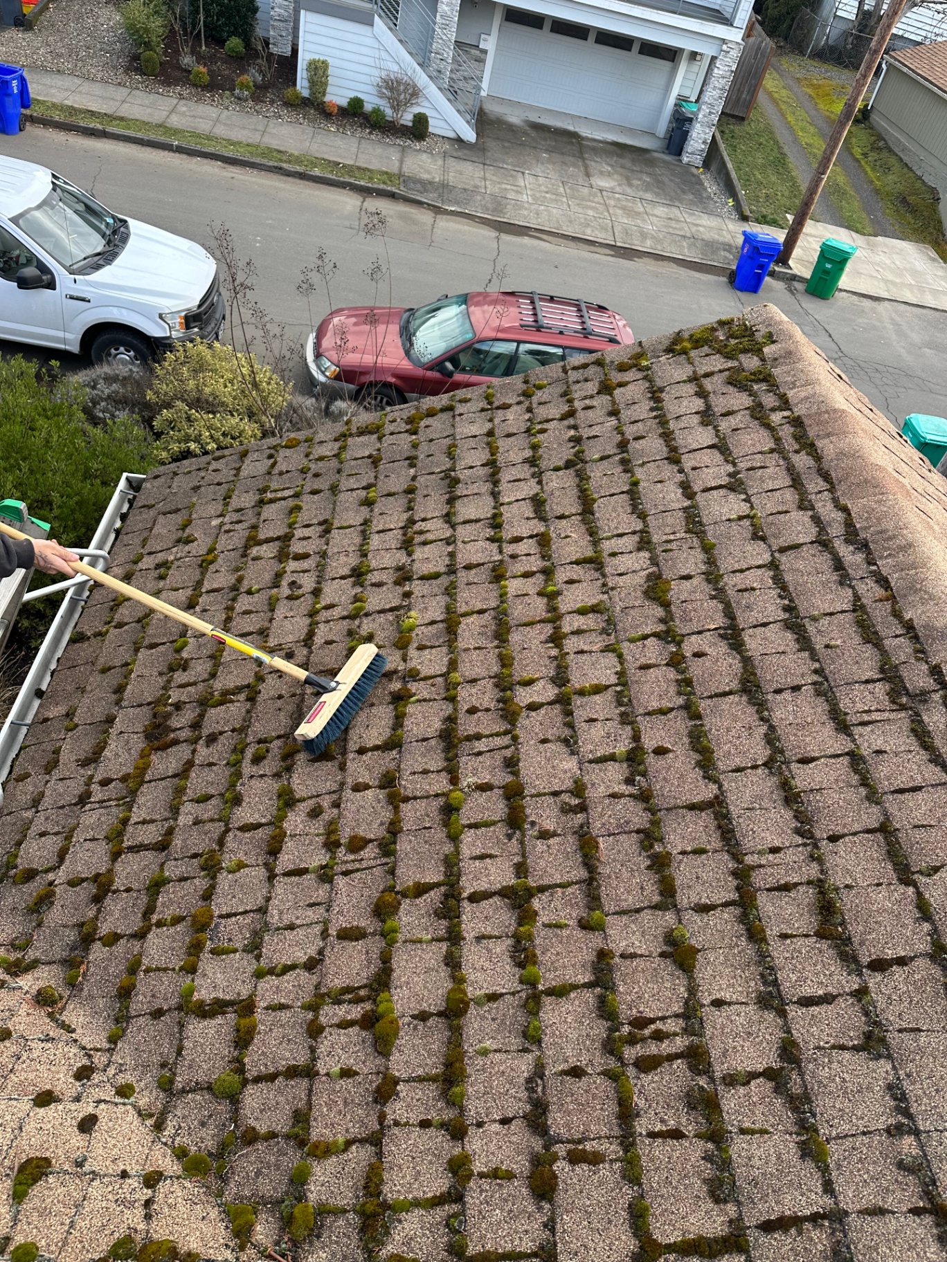 Mossy roof — before